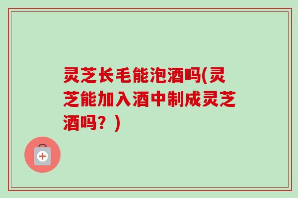 灵芝长毛能泡酒吗(灵芝能加入酒中制成灵芝酒吗？)