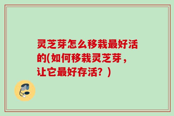 灵芝芽怎么移栽最好活的(如何移栽灵芝芽，让它最好存活？)