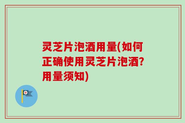 灵芝片泡酒用量(如何正确使用灵芝片泡酒？用量须知)