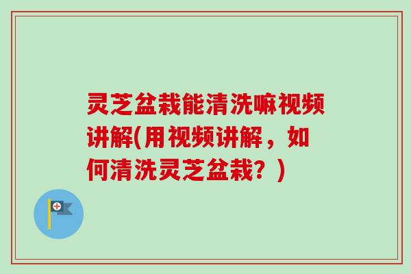 灵芝盆栽能清洗嘛视频讲解(用视频讲解，如何清洗灵芝盆栽？)
