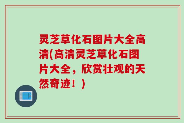 灵芝草化石图片大全高清(高清灵芝草化石图片大全，欣赏壮观的天然奇迹！)