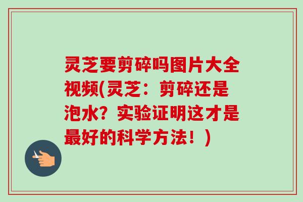 灵芝要剪碎吗图片大全视频(灵芝：剪碎还是泡水？实验证明这才是最好的科学方法！)