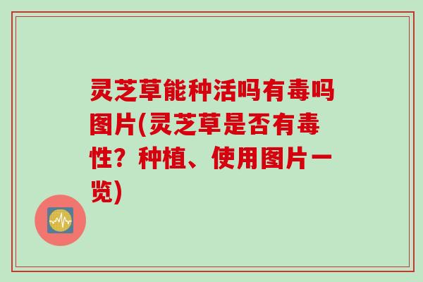 灵芝草能种活吗有毒吗图片(灵芝草是否有毒性？种植、使用图片一览)