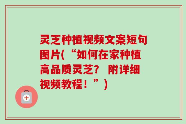 灵芝种植视频文案短句图片(“如何在家种植高品质灵芝？ 附详细视频教程！”)