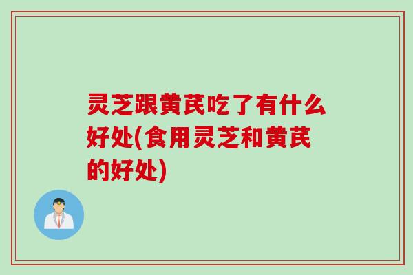 灵芝跟黄芪吃了有什么好处(食用灵芝和黄芪的好处)
