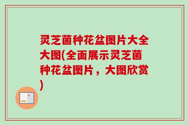 灵芝菌种花盆图片大全大图(全面展示灵芝菌种花盆图片，大图欣赏)