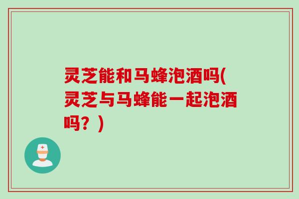灵芝能和马蜂泡酒吗(灵芝与马蜂能一起泡酒吗？)