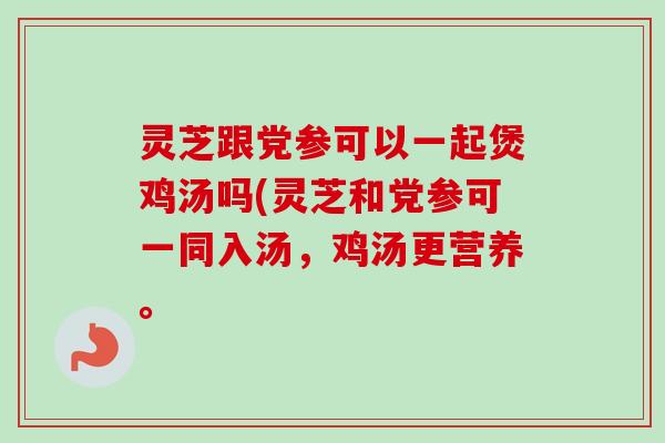 灵芝跟党参可以一起煲鸡汤吗(灵芝和党参可一同入汤，鸡汤更营养。