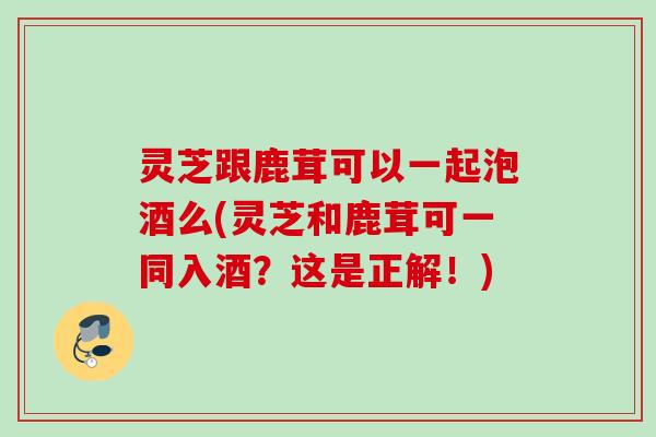 灵芝跟鹿茸可以一起泡酒么(灵芝和鹿茸可一同入酒？这是正解！)