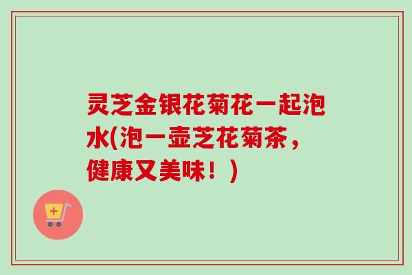 灵芝金银花菊花一起泡水(泡一壶芝花菊茶，健康又美味！)