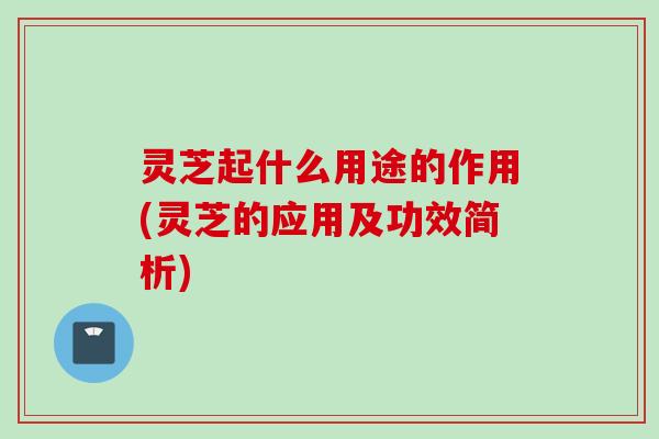 灵芝起什么用途的作用(灵芝的应用及功效简析)