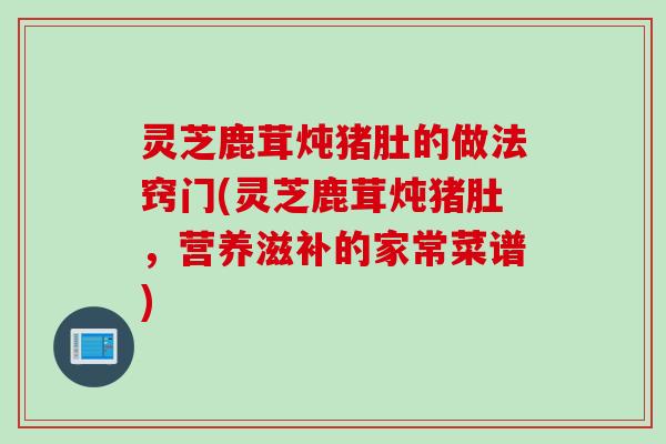灵芝鹿茸炖猪肚的做法窍门(灵芝鹿茸炖猪肚，营养滋补的家常菜谱)