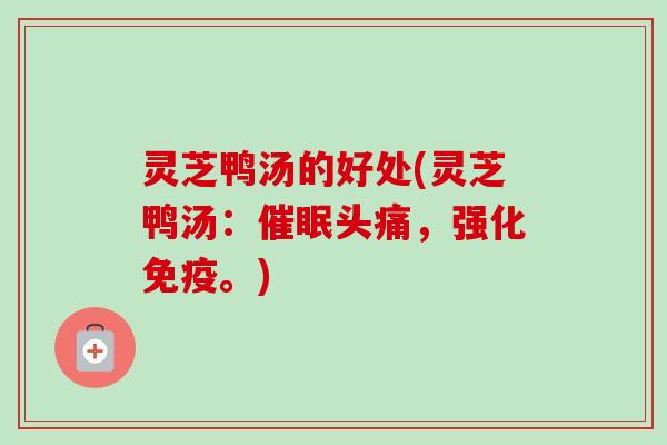 灵芝鸭汤的好处(灵芝鸭汤：催眠头痛，强化免疫。)