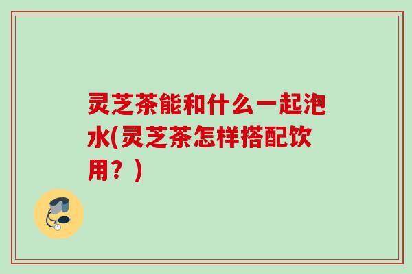 灵芝茶能和什么一起泡水(灵芝茶怎样搭配饮用？)
