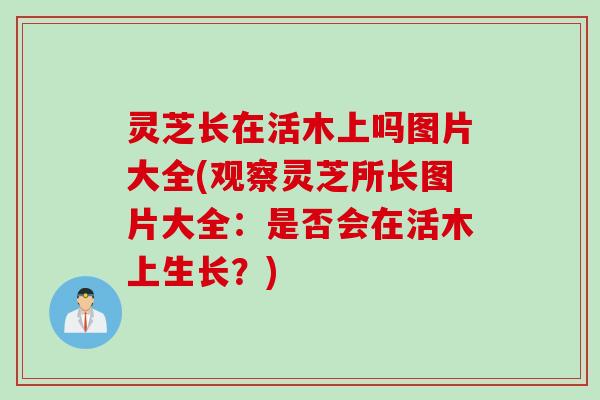 灵芝长在活木上吗图片大全(观察灵芝所长图片大全：是否会在活木上生长？)