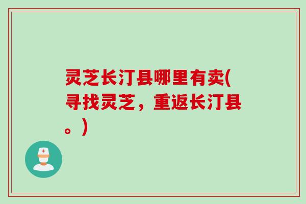 灵芝长汀县哪里有卖(寻找灵芝，重返长汀县。)