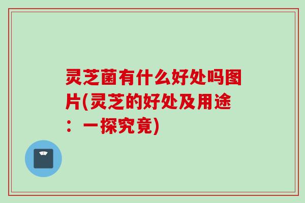 灵芝菌有什么好处吗图片(灵芝的好处及用途：一探究竟)
