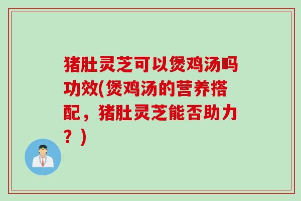 猪肚灵芝可以煲鸡汤吗功效(煲鸡汤的营养搭配，猪肚灵芝能否助力？)