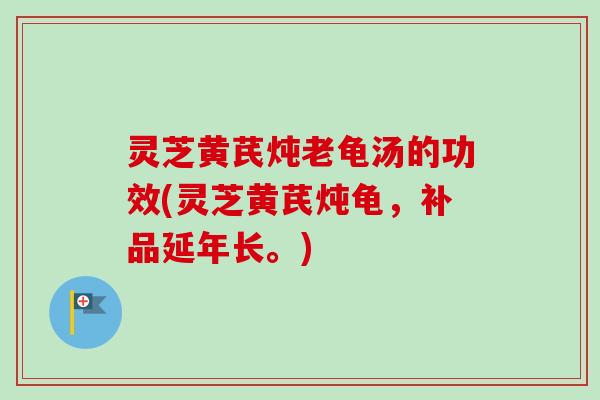 灵芝黄芪炖老龟汤的功效(灵芝黄芪炖龟，补品延年长。)