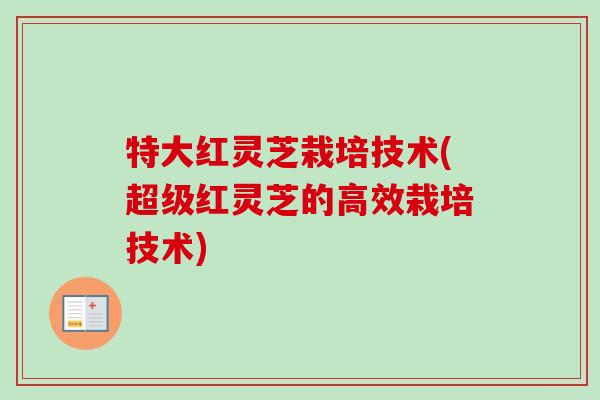 特大红灵芝栽培技术(超级红灵芝的高效栽培技术)