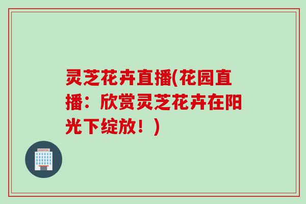 灵芝花卉直播(花园直播：欣赏灵芝花卉在阳光下绽放！)