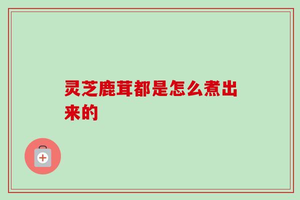 灵芝鹿茸都是怎么煮出来的