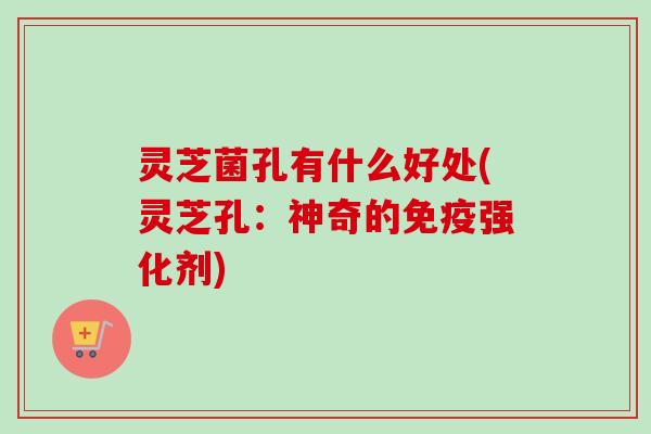 灵芝菌孔有什么好处(灵芝孔：神奇的免疫强化剂)