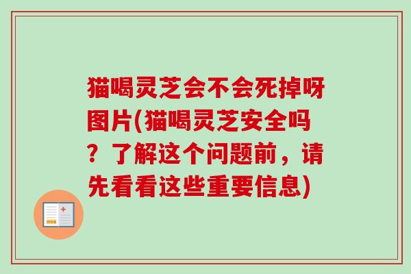 猫喝灵芝会不会死掉呀图片(猫喝灵芝安全吗？了解这个问题前，请先看看这些重要信息)