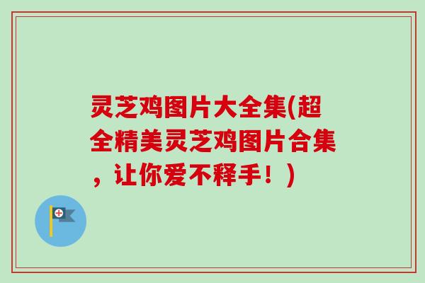 灵芝鸡图片大全集(超全精美灵芝鸡图片合集，让你爱不释手！)
