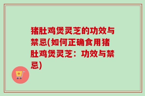 猪肚鸡煲灵芝的功效与禁忌(如何正确食用猪肚鸡煲灵芝：功效与禁忌)
