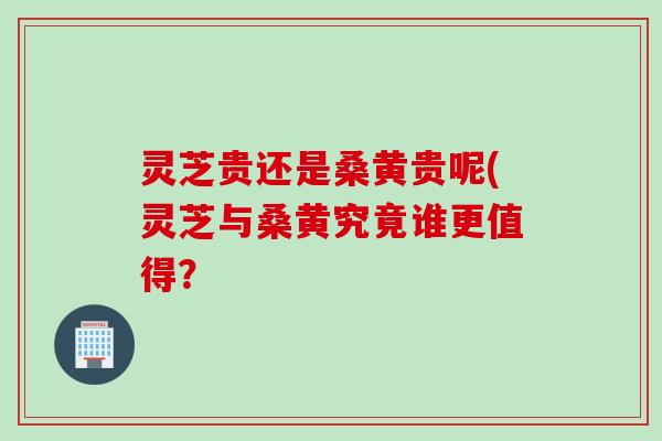 灵芝贵还是桑黄贵呢(灵芝与桑黄究竟谁更值得？