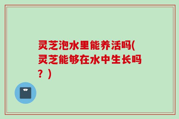 灵芝泡水里能养活吗(灵芝能够在水中生长吗？)