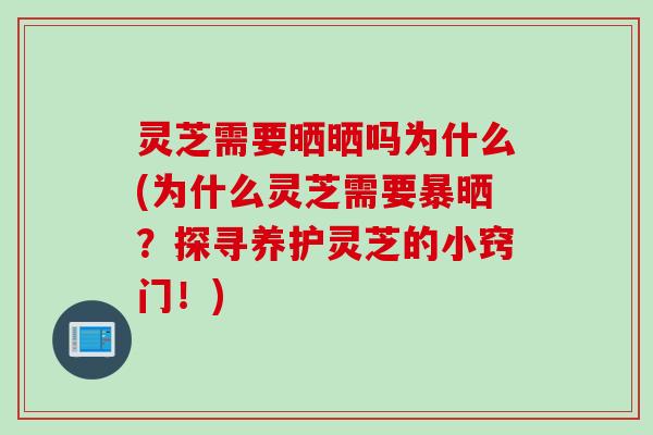 灵芝需要晒晒吗为什么(为什么灵芝需要暴晒？探寻养护灵芝的小窍门！)