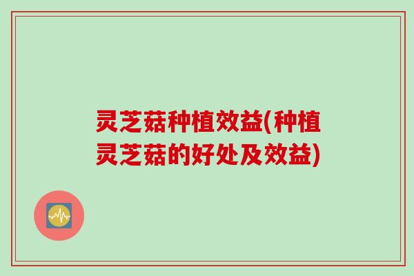 灵芝菇种植效益(种植灵芝菇的好处及效益)