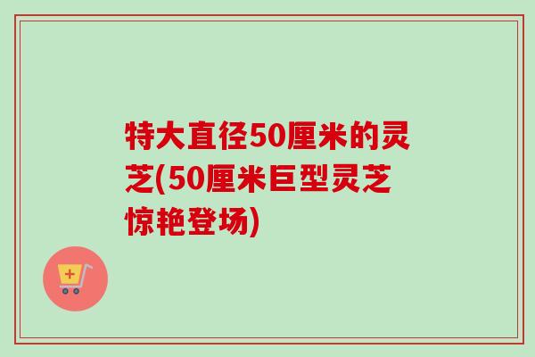 特大直径50厘米的灵芝(50厘米巨型灵芝惊艳登场)