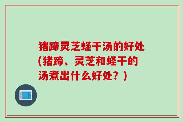 猪蹄灵芝蛏干汤的好处(猪蹄、灵芝和蛏干的汤煮出什么好处？)