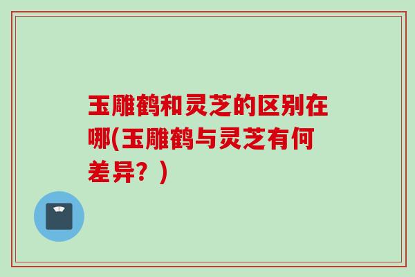 玉雕鹤和灵芝的区别在哪(玉雕鹤与灵芝有何差异？)