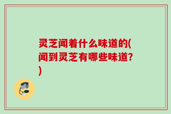 灵芝闻着什么味道的(闻到灵芝有哪些味道？)