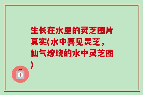 生长在水里的灵芝图片真实(水中喜见灵芝，仙气缭绕的水中灵芝图)