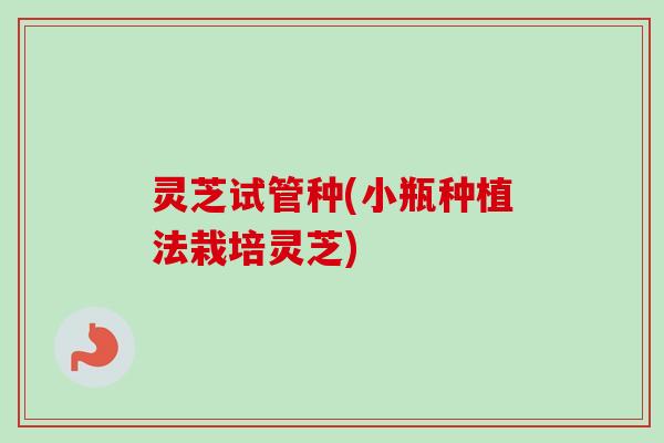 灵芝试管种(小瓶种植法栽培灵芝)
