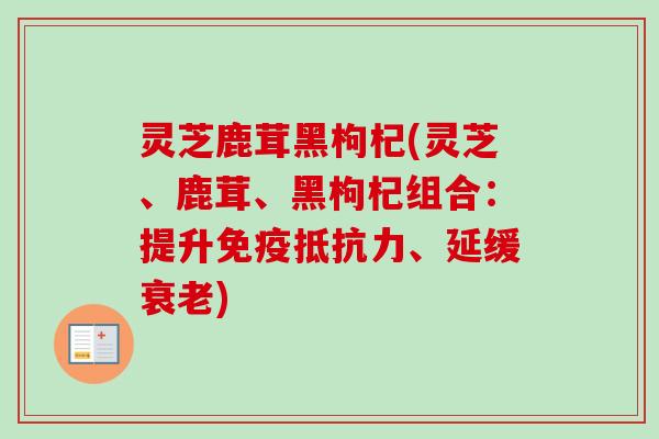 灵芝鹿茸黑枸杞(灵芝、鹿茸、黑枸杞组合：提升免疫抵抗力、延缓衰老)