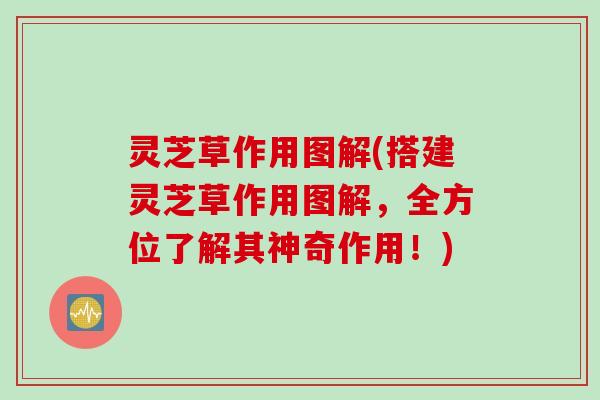 灵芝草作用图解(搭建灵芝草作用图解，全方位了解其神奇作用！)