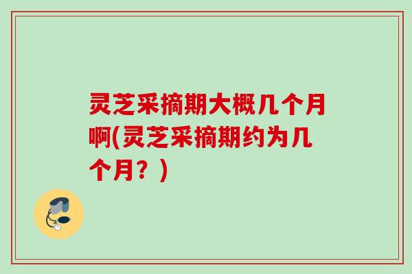 灵芝采摘期大概几个月啊(灵芝采摘期约为几个月？)