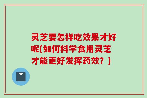 灵芝要怎样吃效果才好呢(如何科学食用灵芝才能更好发挥药效？)