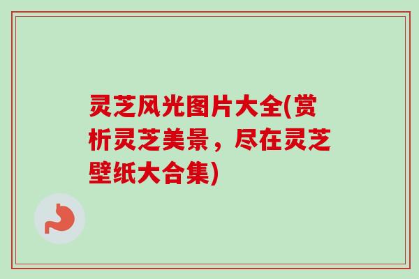 灵芝风光图片大全(赏析灵芝美景，尽在灵芝壁纸大合集)