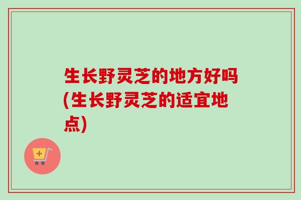 生长野灵芝的地方好吗(生长野灵芝的适宜地点)