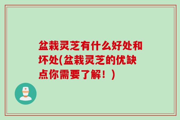 盆栽灵芝有什么好处和坏处(盆栽灵芝的优缺点你需要了解！)