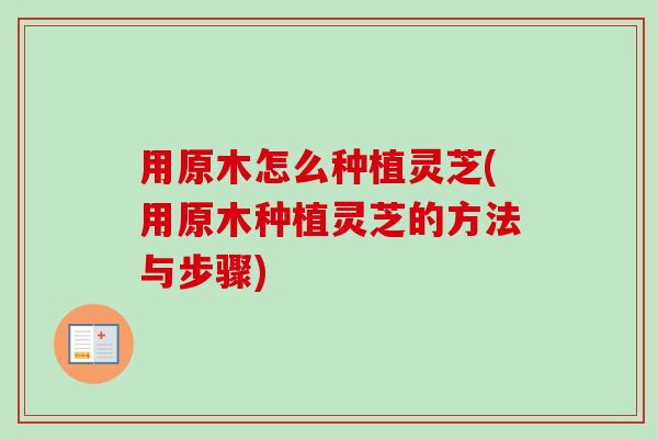 用原木怎么种植灵芝(用原木种植灵芝的方法与步骤)
