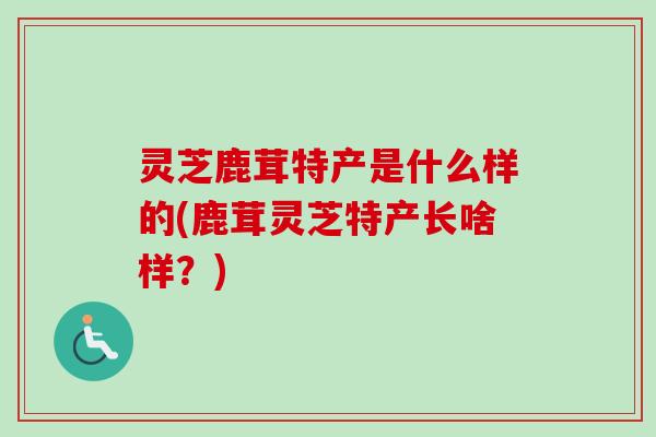 灵芝鹿茸特产是什么样的(鹿茸灵芝特产长啥样？)