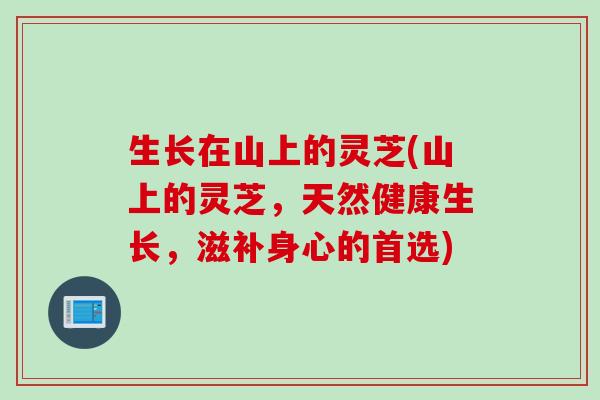 生长在山上的灵芝(山上的灵芝，天然健康生长，滋补身心的首选)